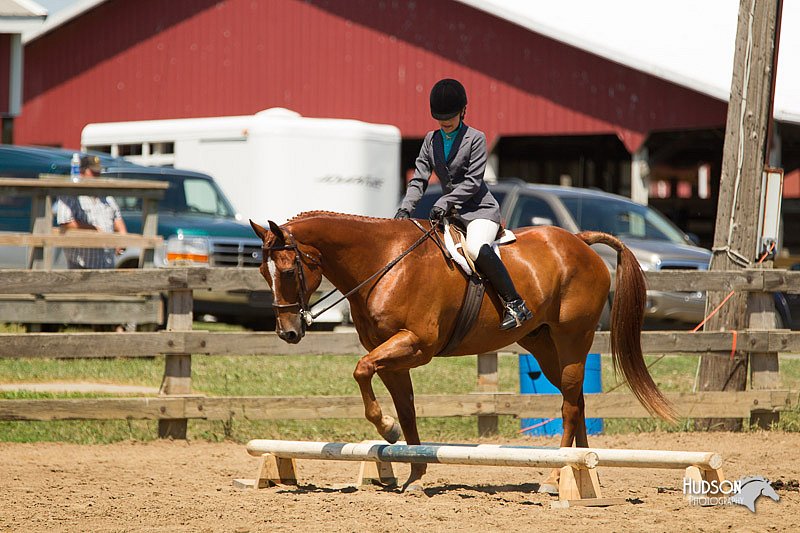 4H-3rd-Show-11_1460.jpg