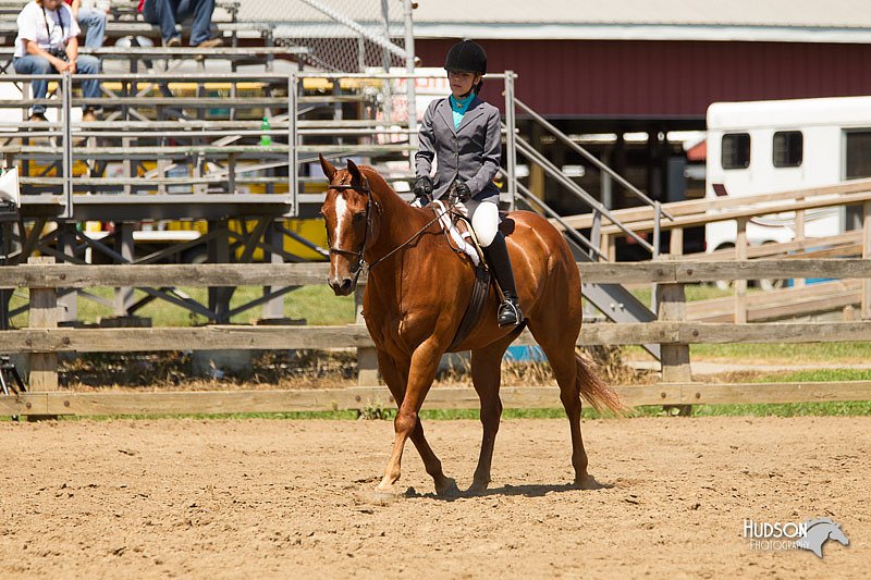 4H-3rd-Show-11_1462.jpg