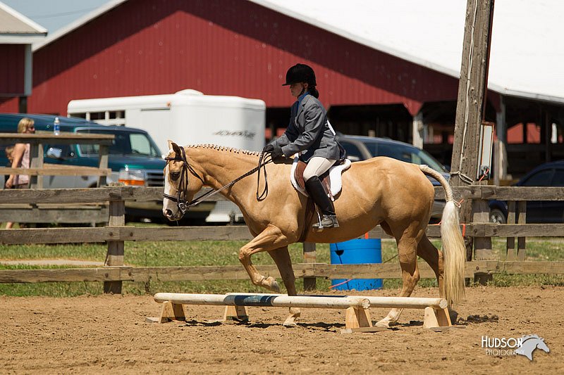 4H-3rd-Show-11_1468.jpg
