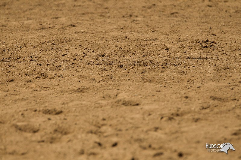 4H-3rd-Show-11_1474.jpg