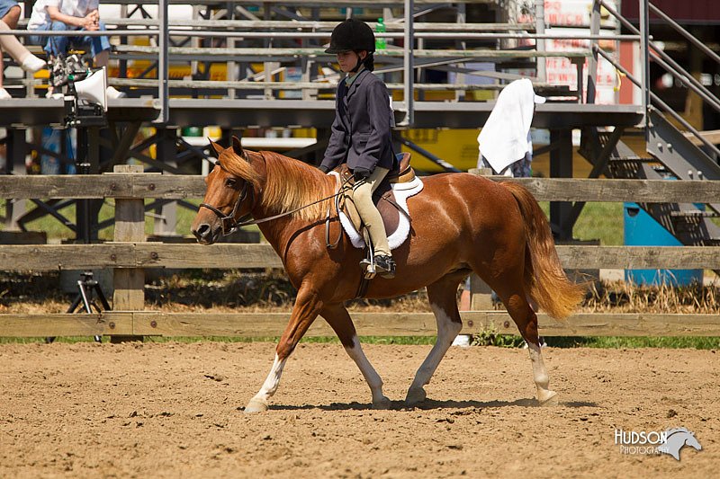 4H-3rd-Show-11_1491.jpg