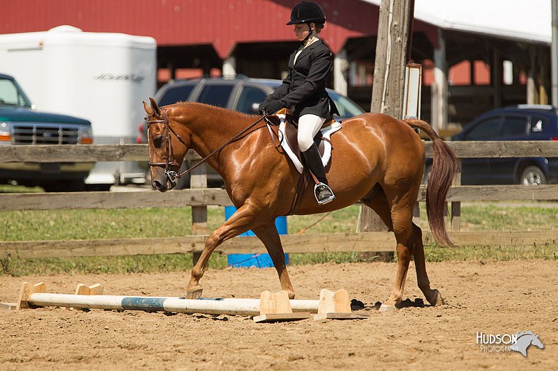 4H-3rd-Show-11_1500.jpg
