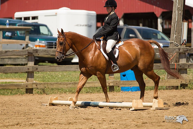 4H-3rd-Show-11_1501.jpg