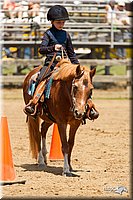 4H-3rd-Show-11_1314.jpg