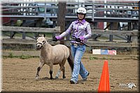 4H-3rd-Show-11_1343.jpg