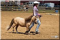 4H-3rd-Show-11_1347.jpg