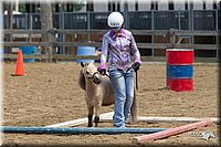 4H-3rd-Show-11_1348.jpg