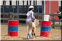 4H-3rd-Show-11_1349.jpg