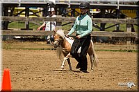 4H-3rd-Show-11_1355.jpg