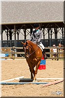 4H-3rd-Show-11_1464.jpg