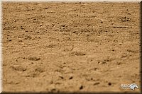 4H-3rd-Show-11_1475.jpg