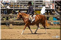 4H-3rd-Show-11_1491.jpg