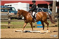 4H-3rd-Show-11_1501.jpg