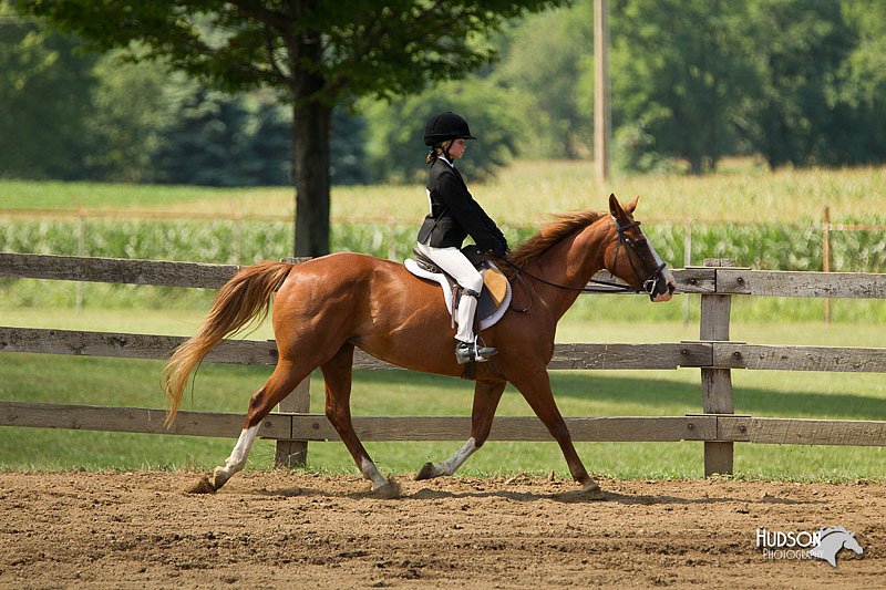 4H-3rd-Show-11_1023.jpg