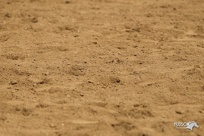 4H-3rd-Show-11_1183.jpg