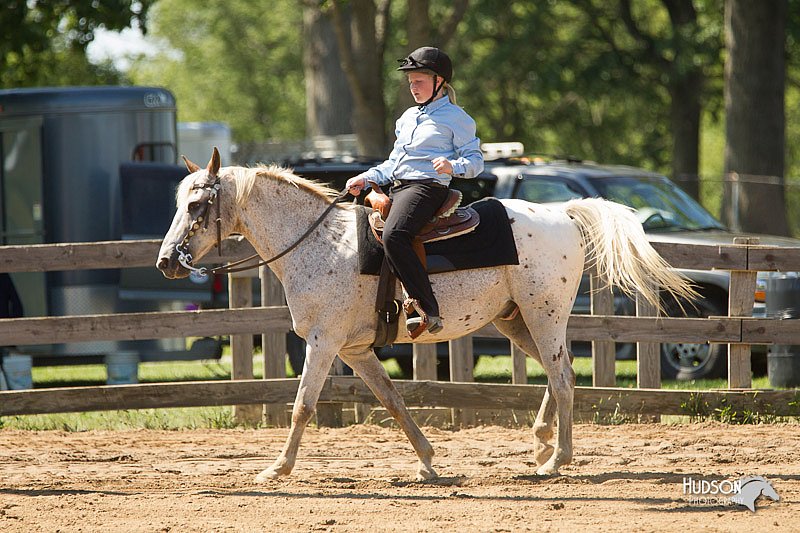4H-3rd-Show-11_1510.jpg