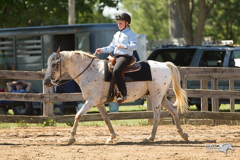 4H-3rd-Show-11_1511.jpg