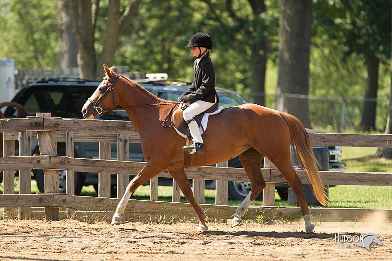 4H-3rd-Show-11_1543.jpg