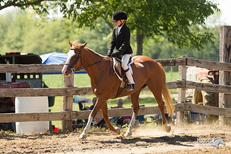 4H-3rd-Show-11_1546.jpg