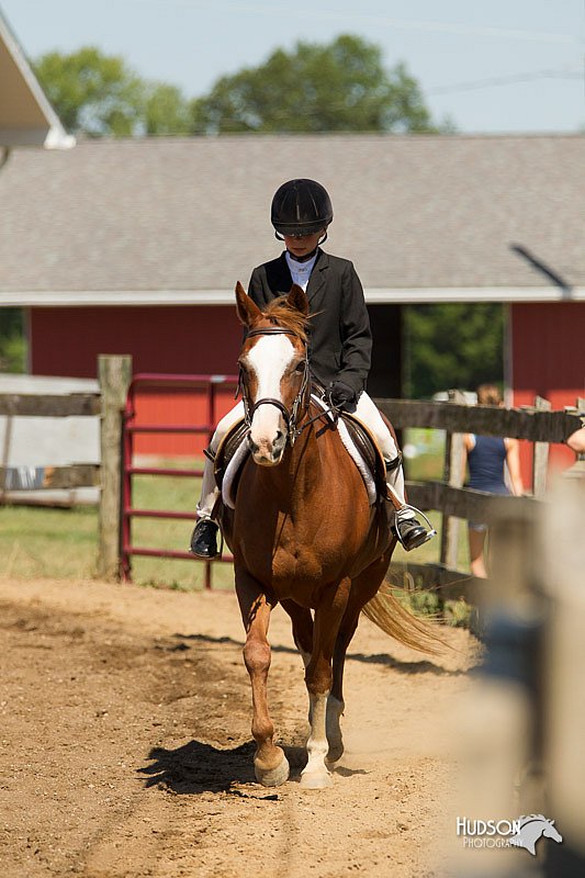 4H-3rd-Show-11_1551.jpg
