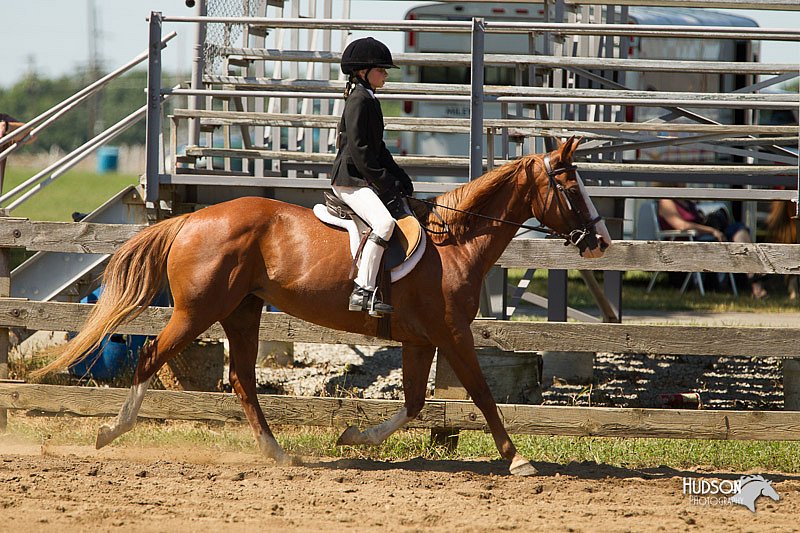 4H-3rd-Show-11_1554.jpg