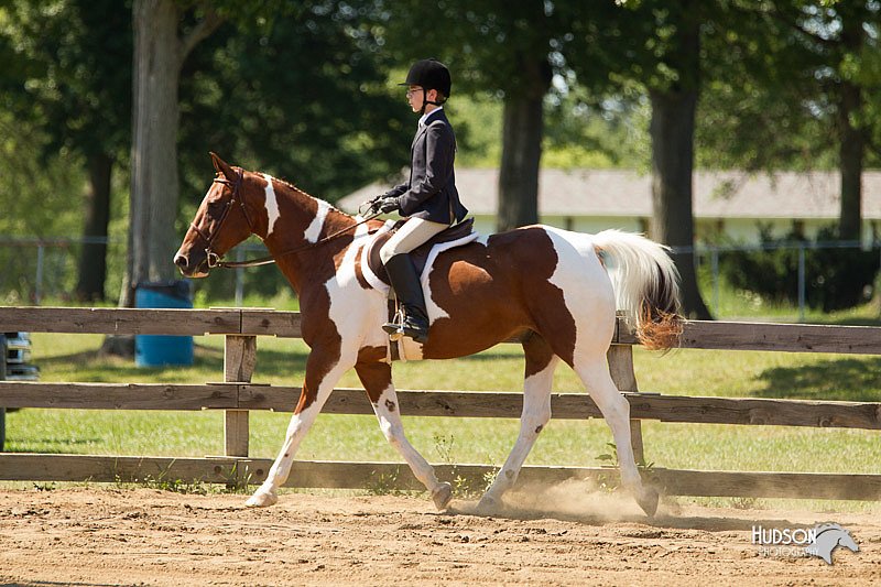 4H-3rd-Show-11_1559.jpg