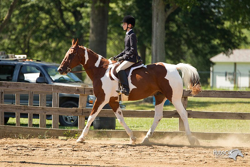 4H-3rd-Show-11_1560.jpg