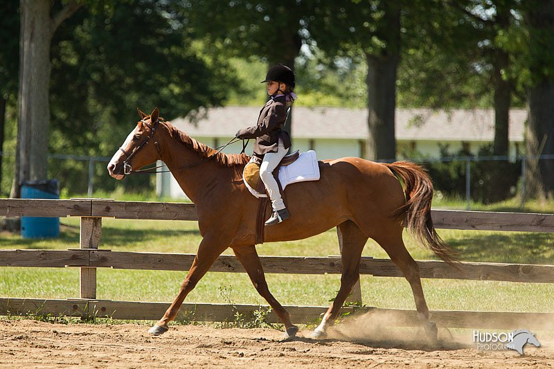 4H-3rd-Show-11_1564.jpg