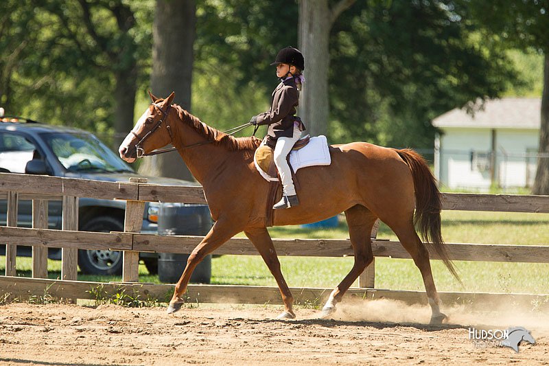 4H-3rd-Show-11_1565.jpg