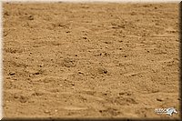 4H-3rd-Show-11_1183.jpg
