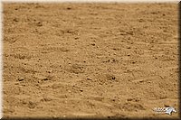 4H-3rd-Show-11_1184.jpg