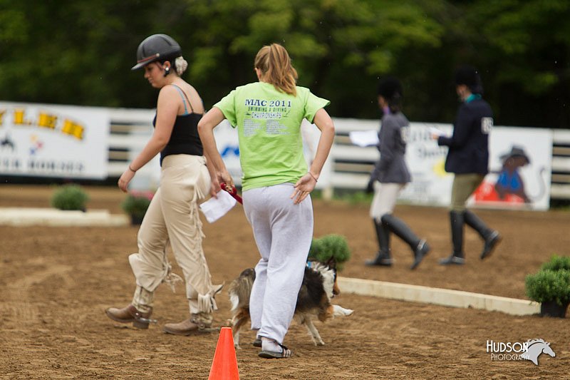 4H-Districts-11_0751.jpg