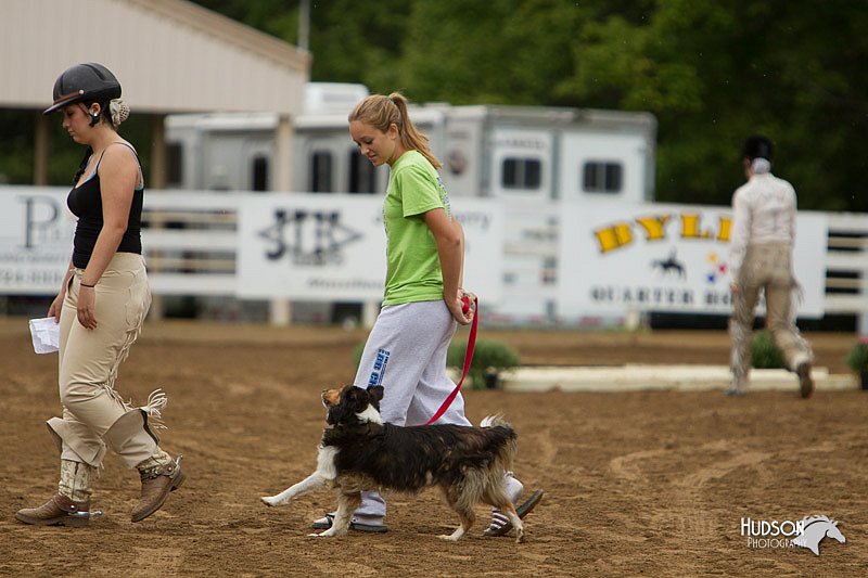4H-Districts-11_0754.jpg