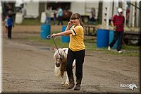 4H-Districts-11_0701.jpg