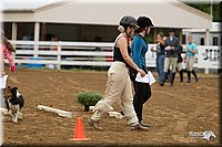 4H-Districts-11_0748.jpg