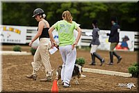 4H-Districts-11_0751.jpg