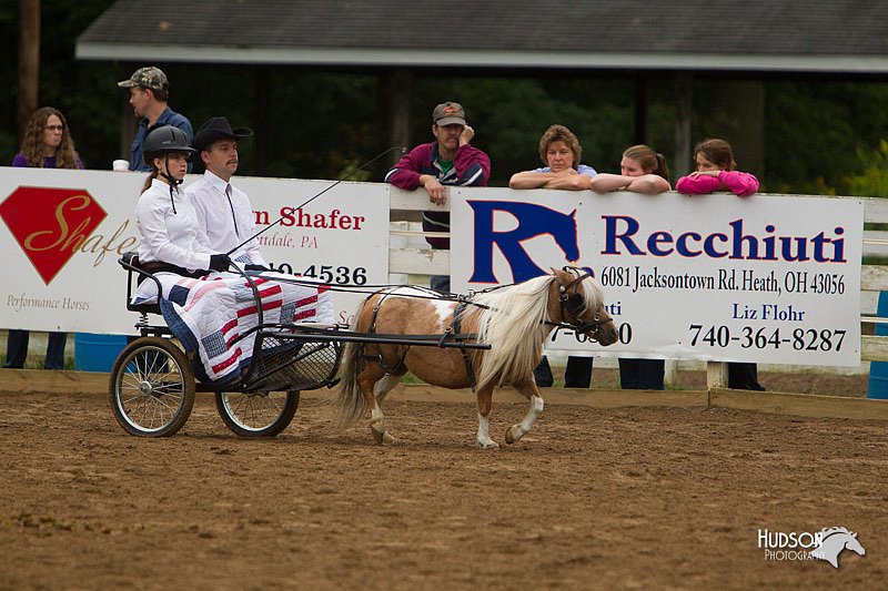 4H-Districts-11_0688.jpg