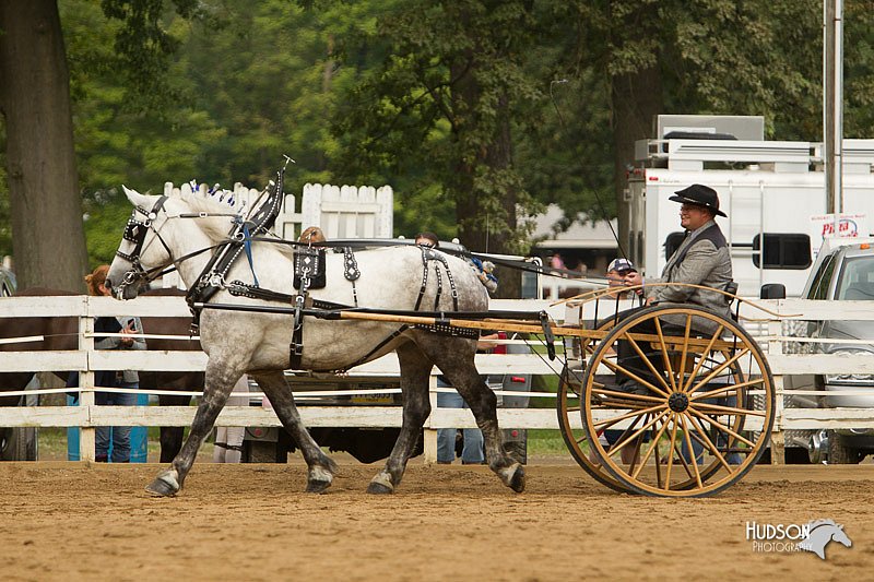 4H-Districts-11_1374.jpg