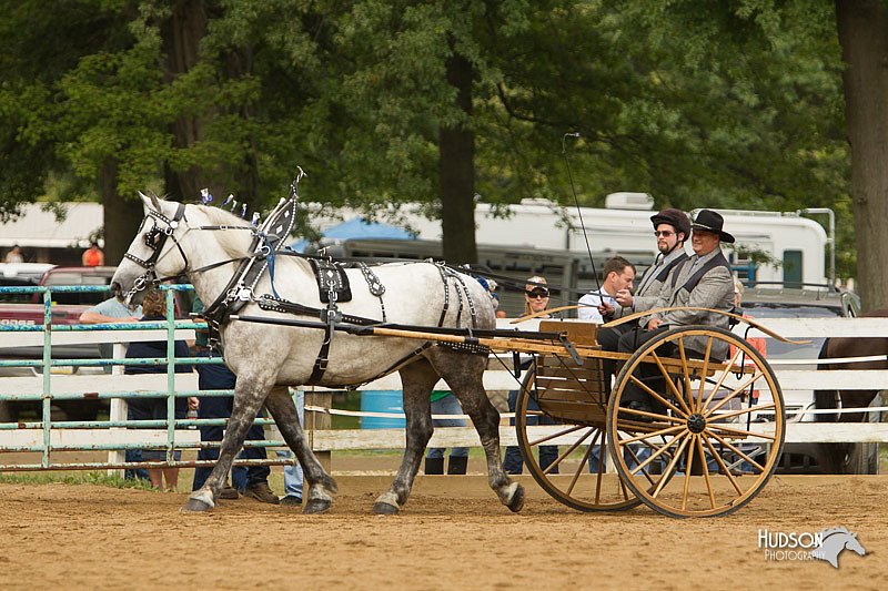 4H-Districts-11_1375.jpg