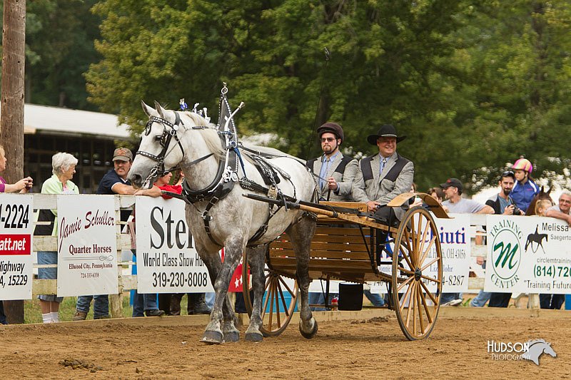 4H-Districts-11_1376.jpg