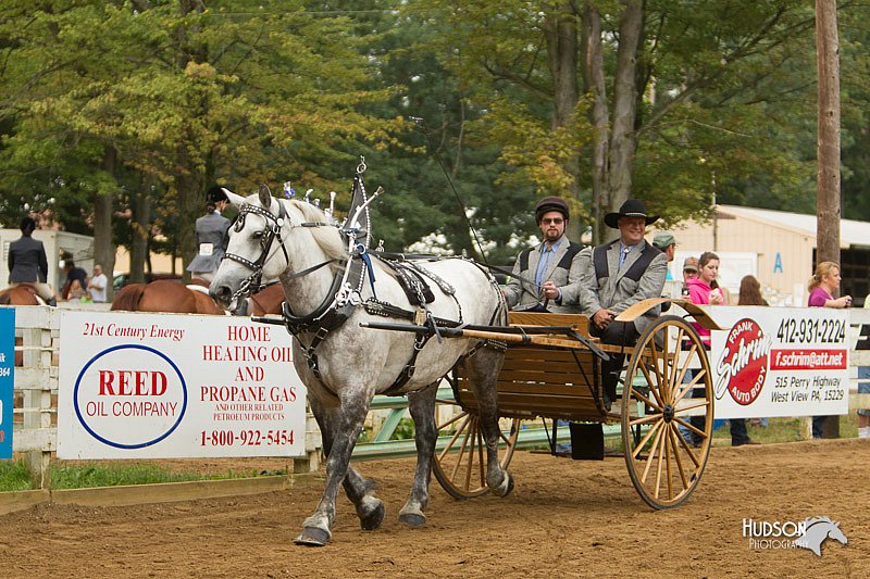 4H-Districts-11_1377.jpg