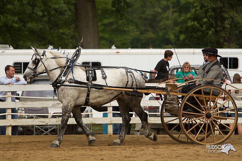 4H-Districts-11_1379.jpg