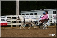 4H-Districts-11_0668.jpg