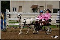 4H-Districts-11_0677.jpg