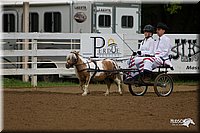 4H-Districts-11_0678.jpg