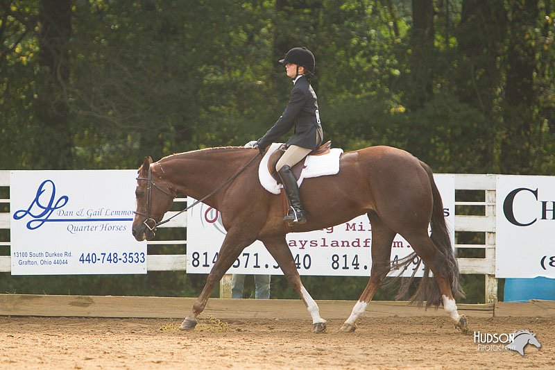 4H-Districts-11_1407.jpg