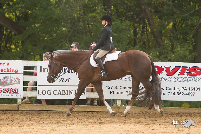 4H-Districts-11_1408.jpg