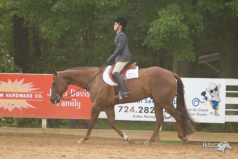 4H-Districts-11_1409.jpg