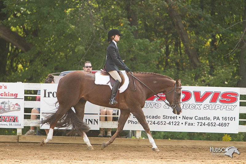 4H-Districts-11_1417.jpg