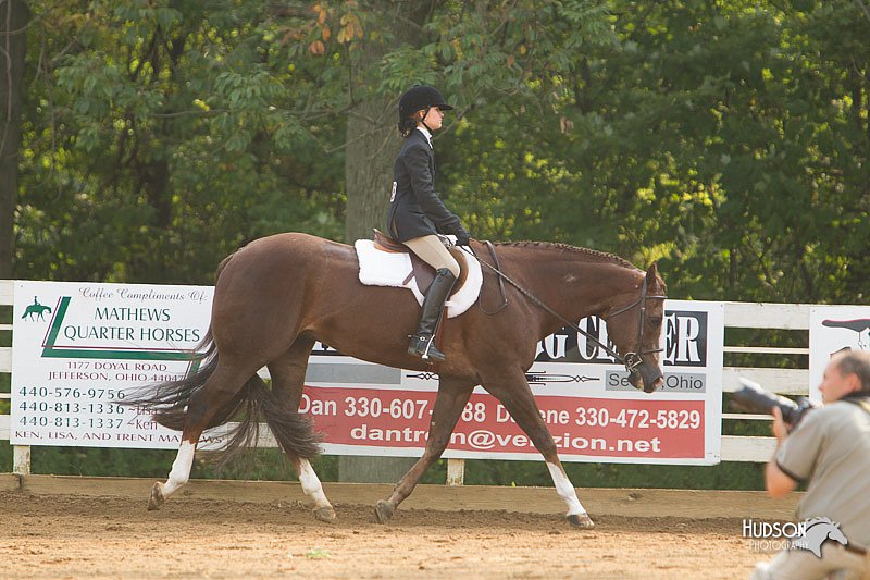 4H-Districts-11_1418.jpg